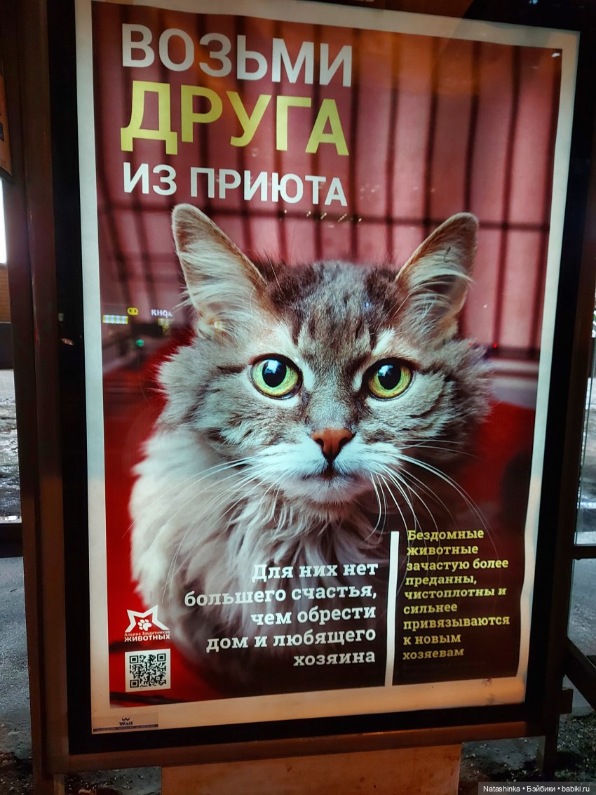 Fashion Dolls 202 — Куклы Звезды подиума (Angel Collection): шарнирные (фото 9)