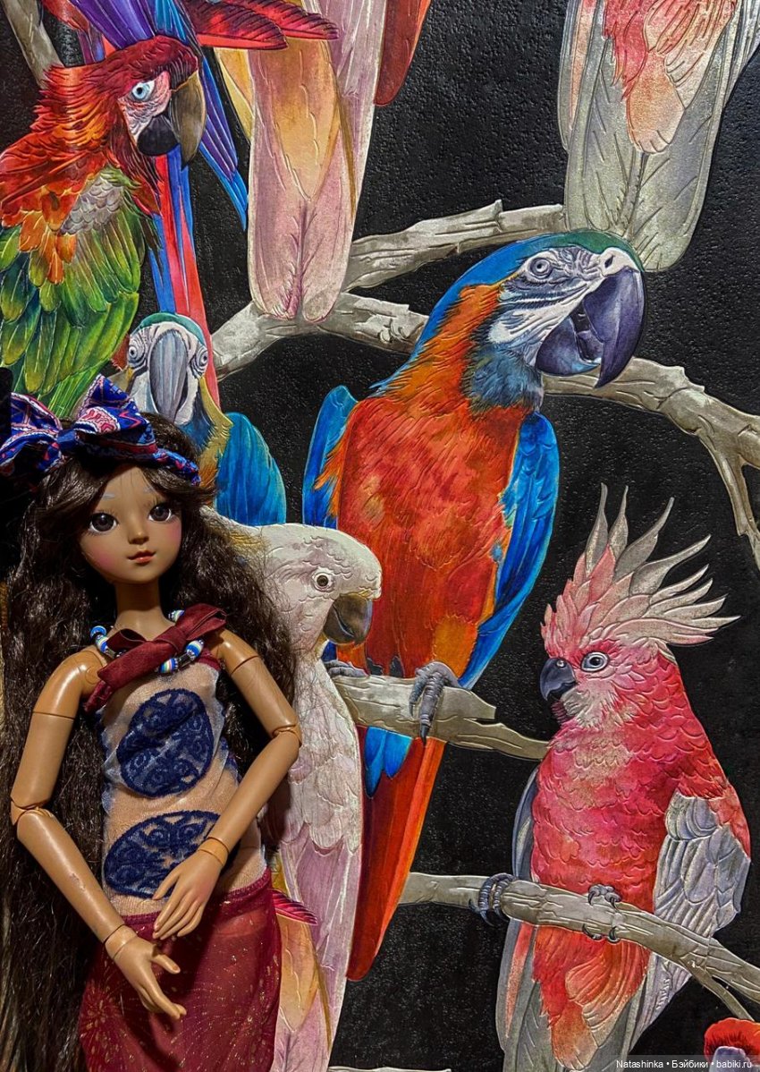 Fashion Dolls 204 — Куклы Звезды подиума (Angel Collection): шарнирные