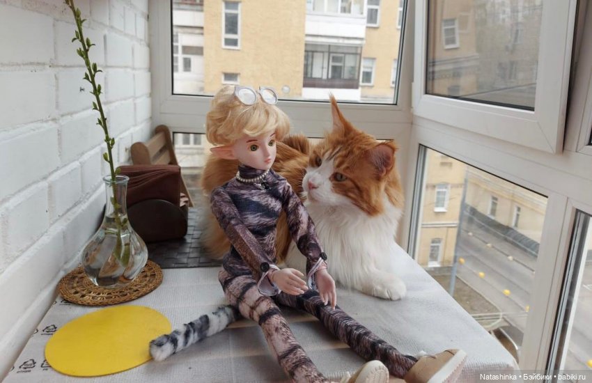 Fashion Dolls 215 — Куклы Звезды подиума (Angel Collection): шарнирные