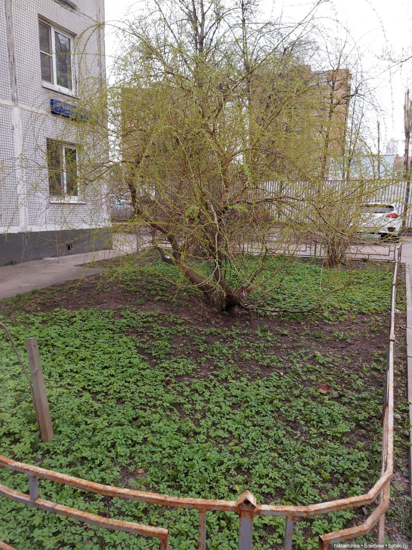 Fashion Dolls 215 — Куклы Звезды подиума (Angel Collection): шарнирные