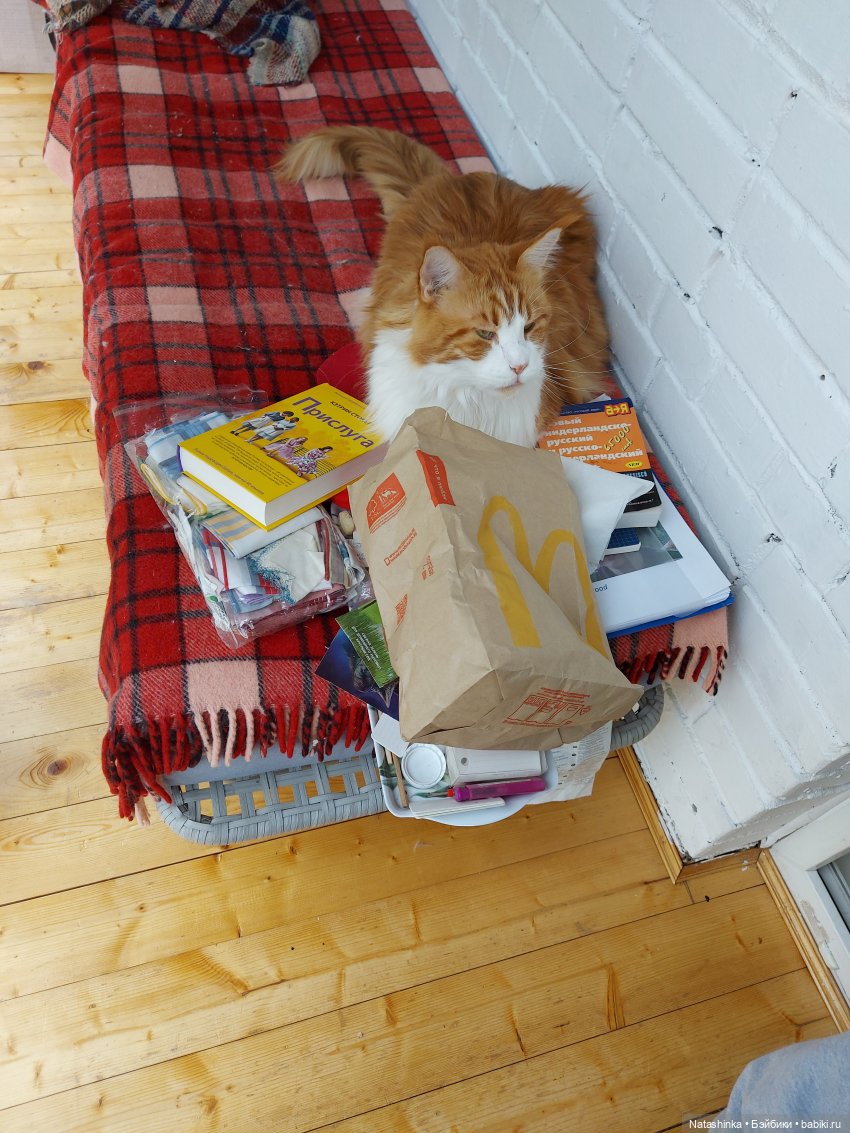 Fashion Dolls 221 — Куклы Звезды подиума (Angel Collection): шарнирные (фото 3)