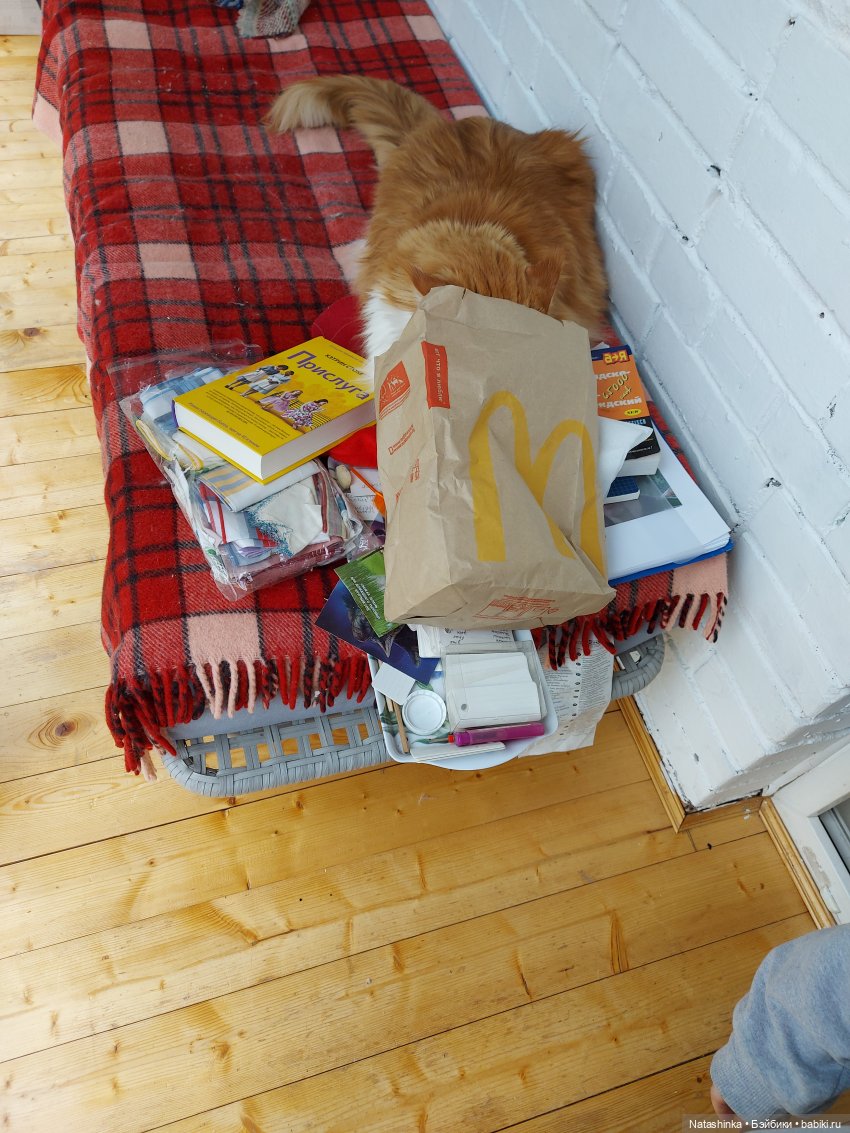 Fashion Dolls 221 — Куклы Звезды подиума (Angel Collection): шарнирные (фото 4)