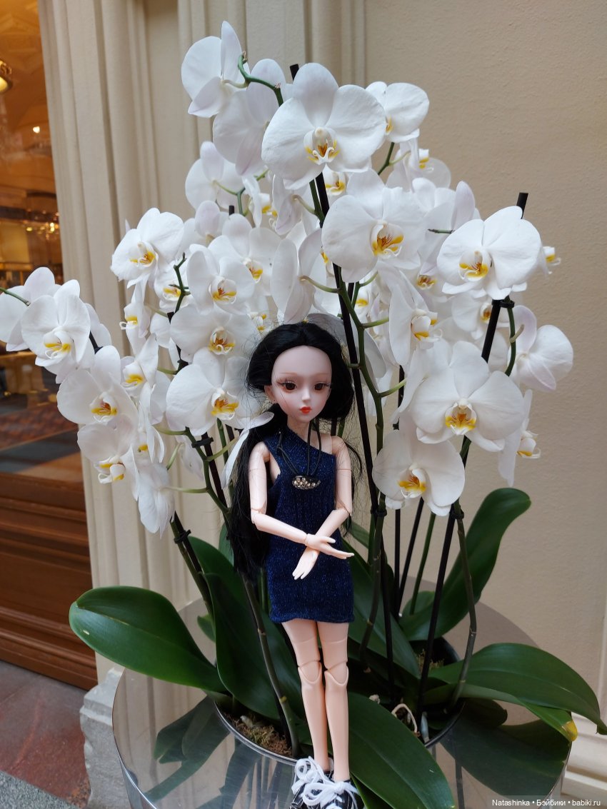 Fashion Dolls 223 — Куклы Звезды подиума (Angel Collection): шарнирные