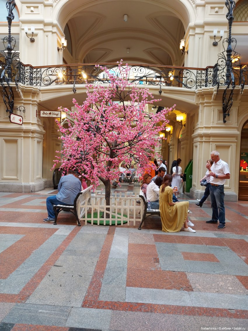 Fashion Dolls 223 — Куклы Звезды подиума (Angel Collection): шарнирные