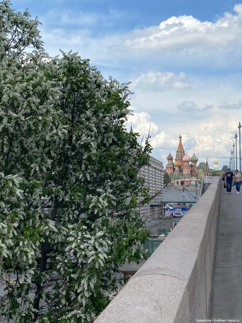 Fashion Dolls 223 — Куклы Звезды подиума (Angel Collection): шарнирные (фото 4)