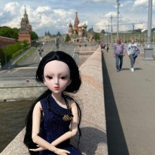 Fashion Dolls  223
