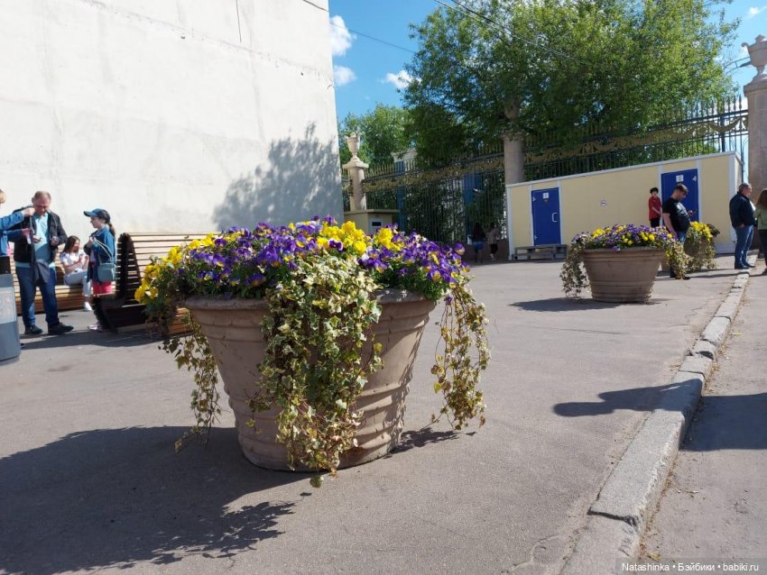 Fashion Dolls 226 — Куклы Звезды подиума (Angel Collection): шарнирные (фото 2)