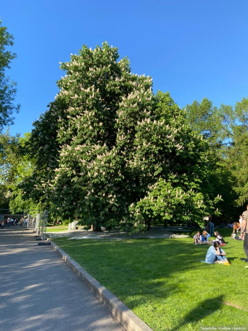 Fashion Dolls 226 — Куклы Звезды подиума (Angel Collection): шарнирные (фото 9)