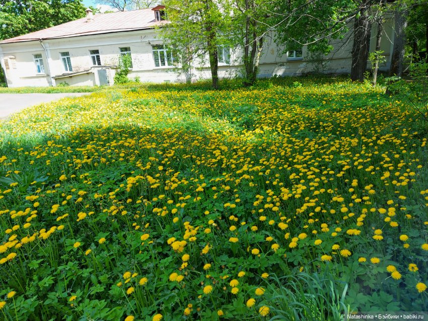 Fashion Dolls 227 — Куклы Звезды подиума (Angel Collection): шарнирные (фото 7)