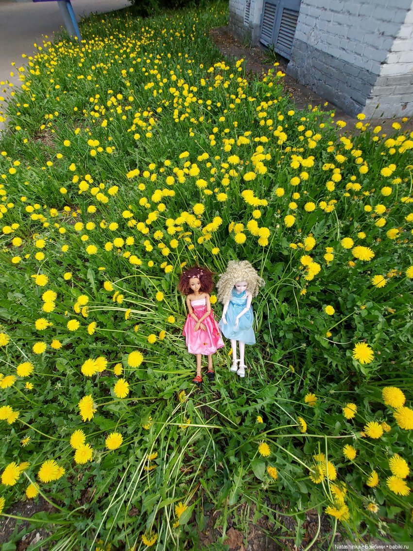 Fashion Dolls 227 — Куклы Звезды подиума (Angel Collection): шарнирные (фото 8)