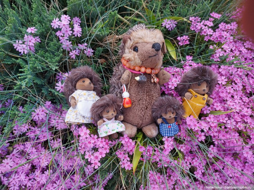 Fashion Dolls 228 — Куклы Звезды подиума (Angel Collection): шарнирные