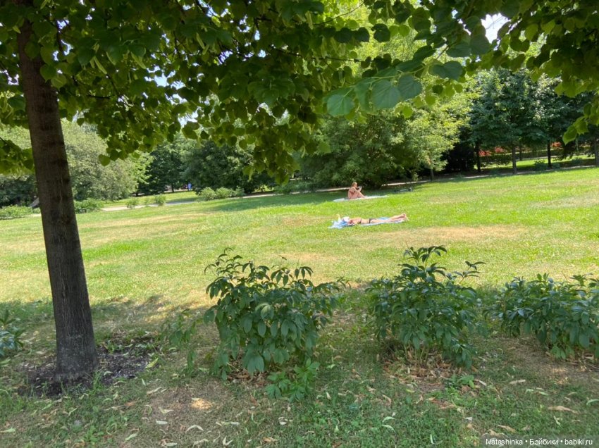 Fashion Dolls 235 — Куклы Звезды подиума (Angel Collection): шарнирные (фото 3)