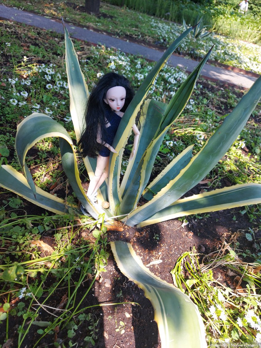 Fashion Dolls 235 — Куклы Звезды подиума (Angel Collection): шарнирные