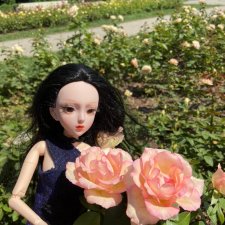 Fashion Dolls 235