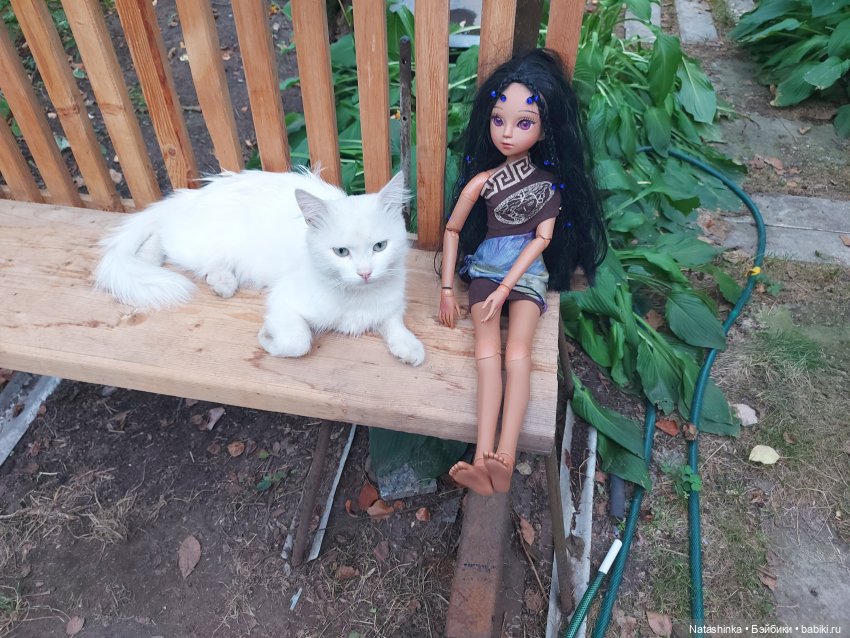 Fashion Dolls 242 — Куклы Звезды подиума (Angel Collection): шарнирные (фото 4)