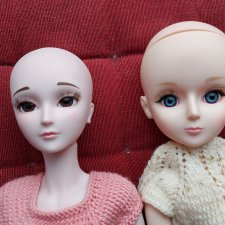 Fashion Dolls 243