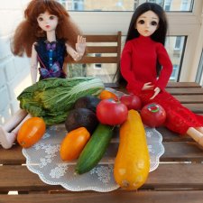 Fashion Dolls  245
