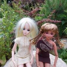 Fashio Dolls 246