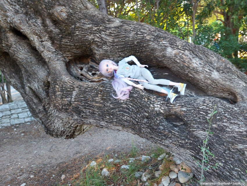 Fashion Dolls 247 — Куклы Звезды подиума (Angel Collection): шарнирные