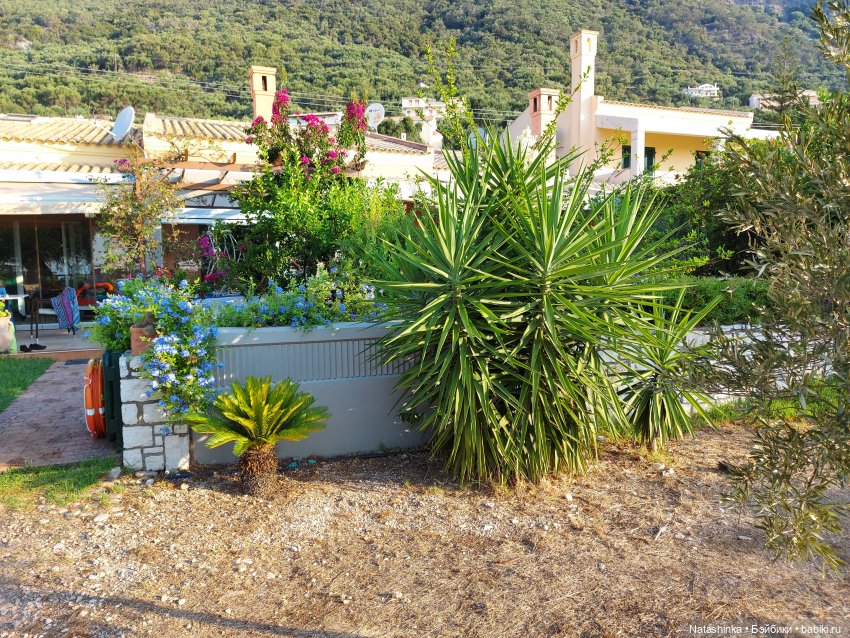 Fashion Dolls 247 — Куклы Звезды подиума (Angel Collection): шарнирные