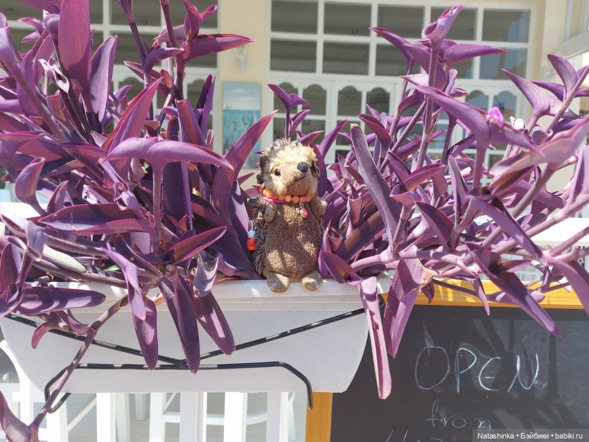 Fashion Dolls 251 — Плюшевые мишки и игрушки (Teddy Bear): винтаж