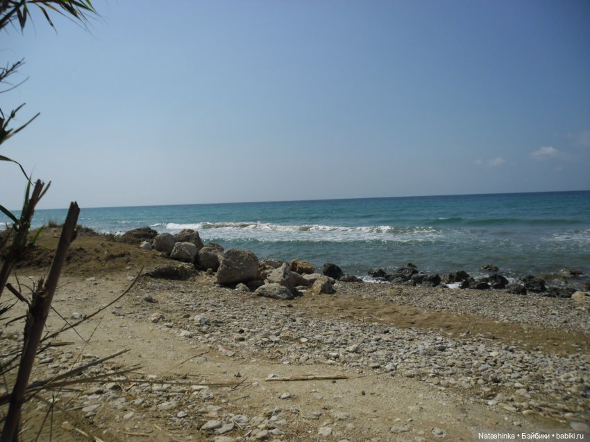 Fashion Dolls 251 — Плюшевые мишки и игрушки (Teddy Bear): винтаж