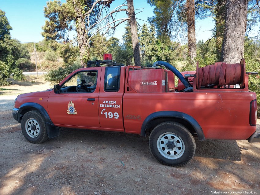 Fashion Dolls 251 — Плюшевые мишки и игрушки (Teddy Bear): винтаж