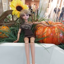 Fashion Dolls 253