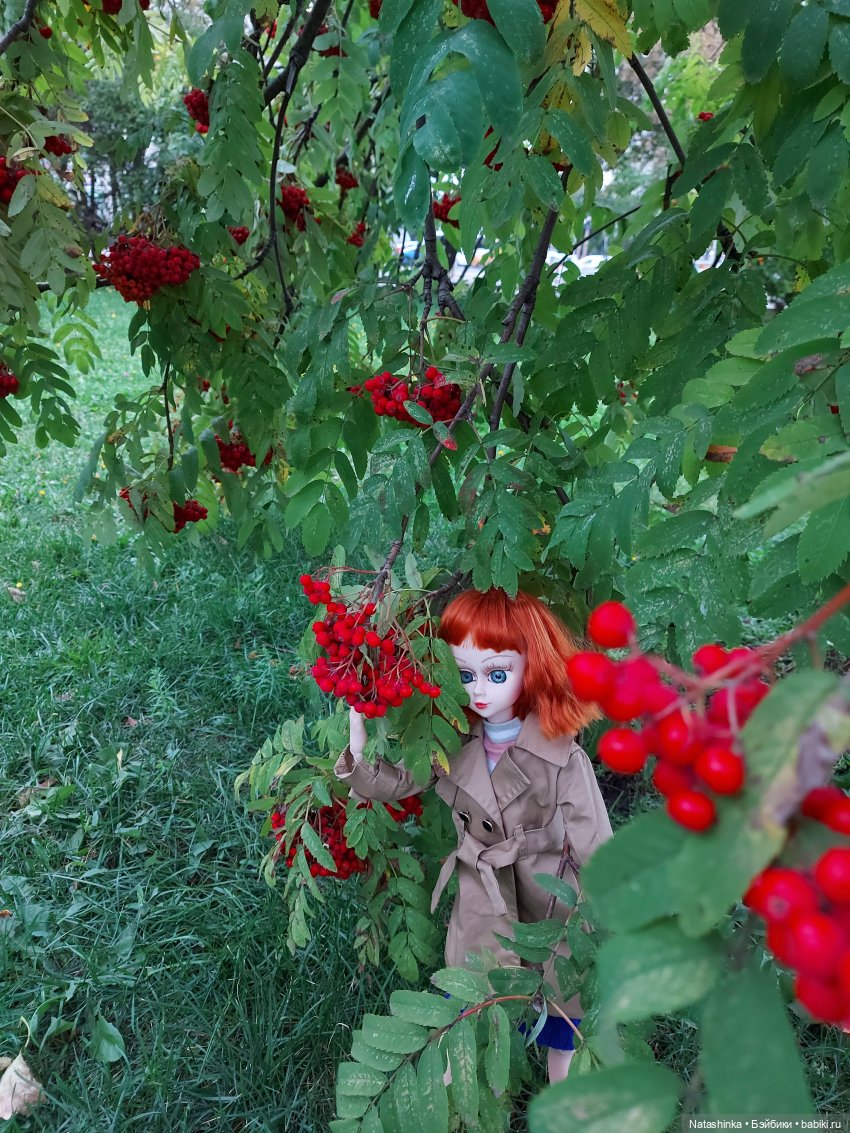 Fashion Dolls 257 — Куклы Звезды подиума (Angel Collection): шарнирные (фото 9)