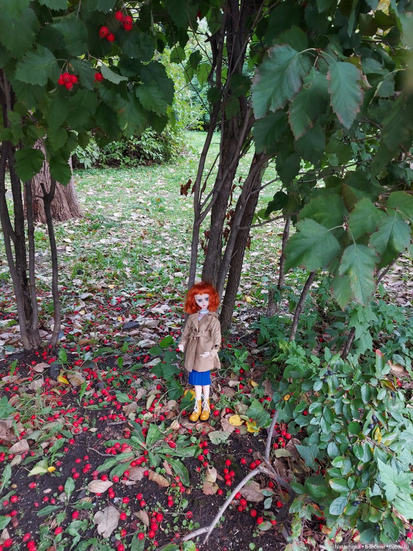 Fashion Dolls 257 — Куклы Звезды подиума (Angel Collection): шарнирные (фото 5)