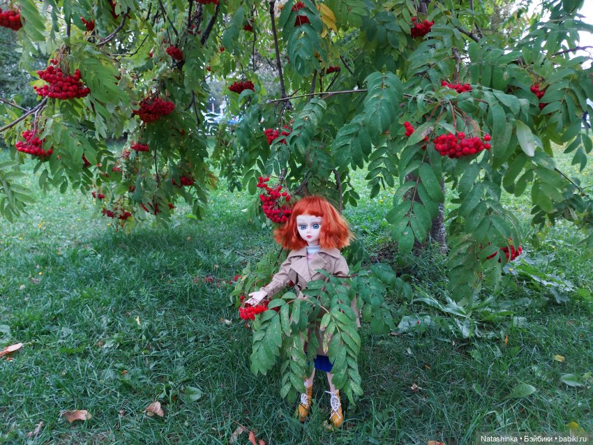 Fashion Dolls 257 — Куклы Звезды подиума (Angel Collection): шарнирные