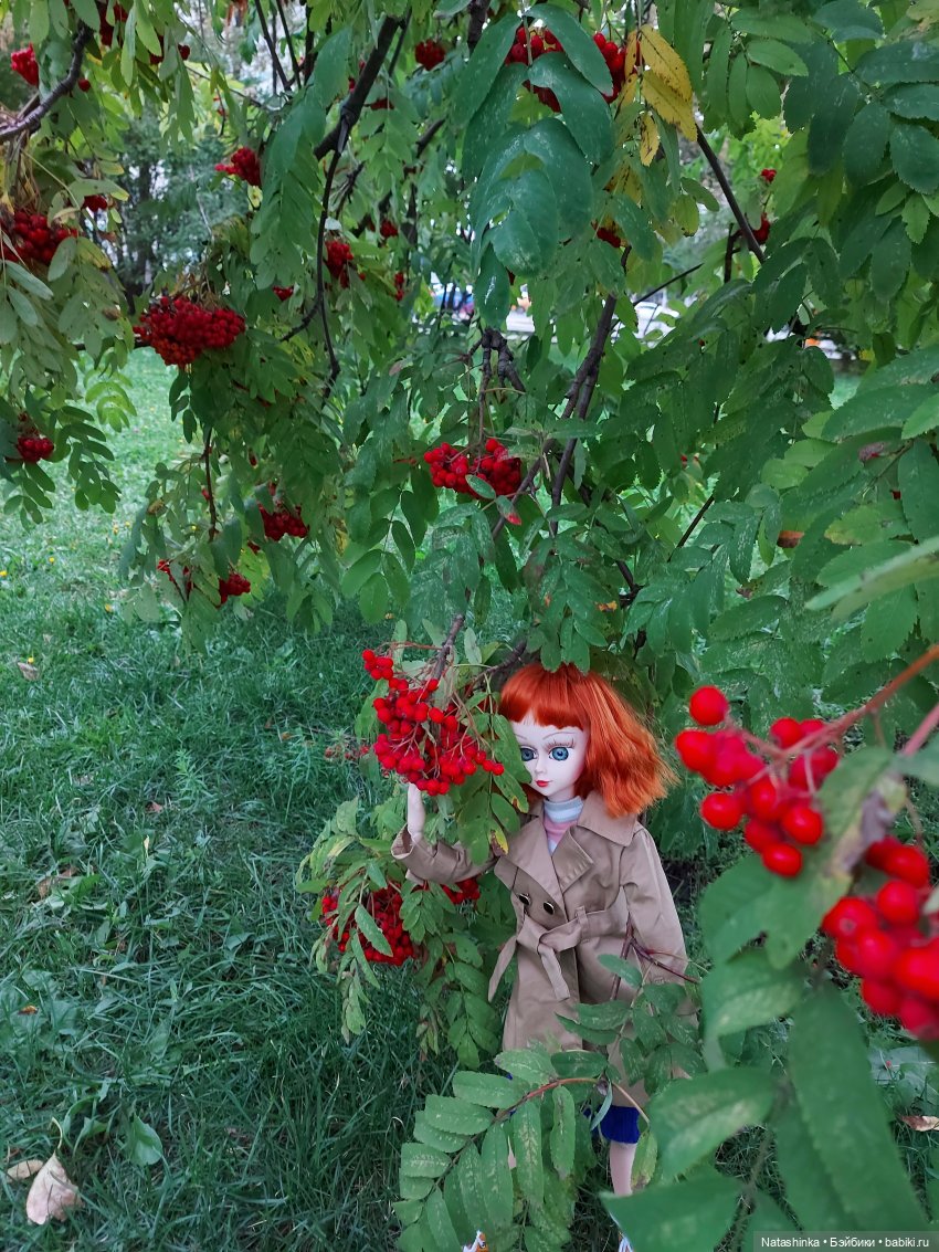 Fashion Dolls 257 — Куклы Звезды подиума (Angel Collection): шарнирные (фото 8)