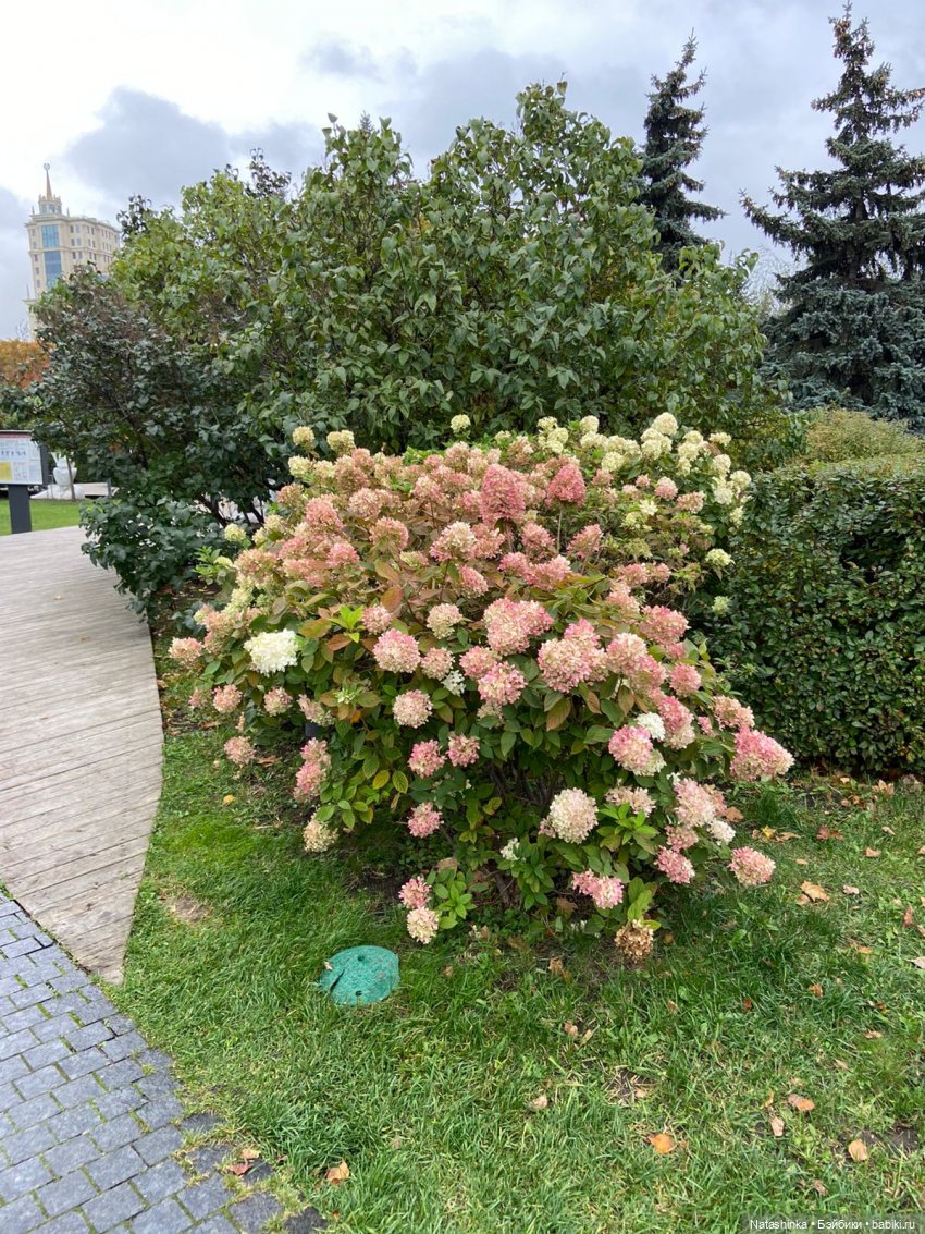 Fashion Dolls 258 — Болталка и разговоры обо всем: жизнь