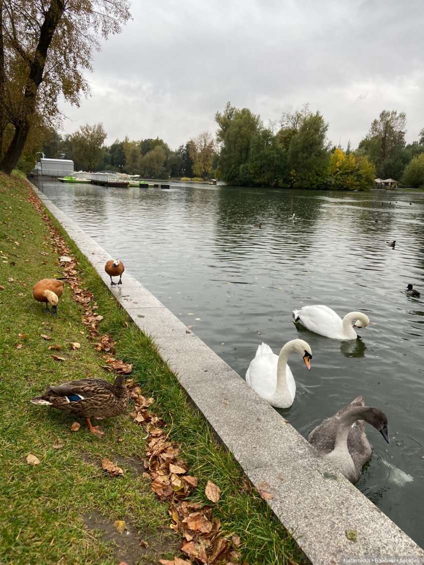 Fashion Dolls 258 — Болталка и разговоры обо всем: жизнь (фото 10)