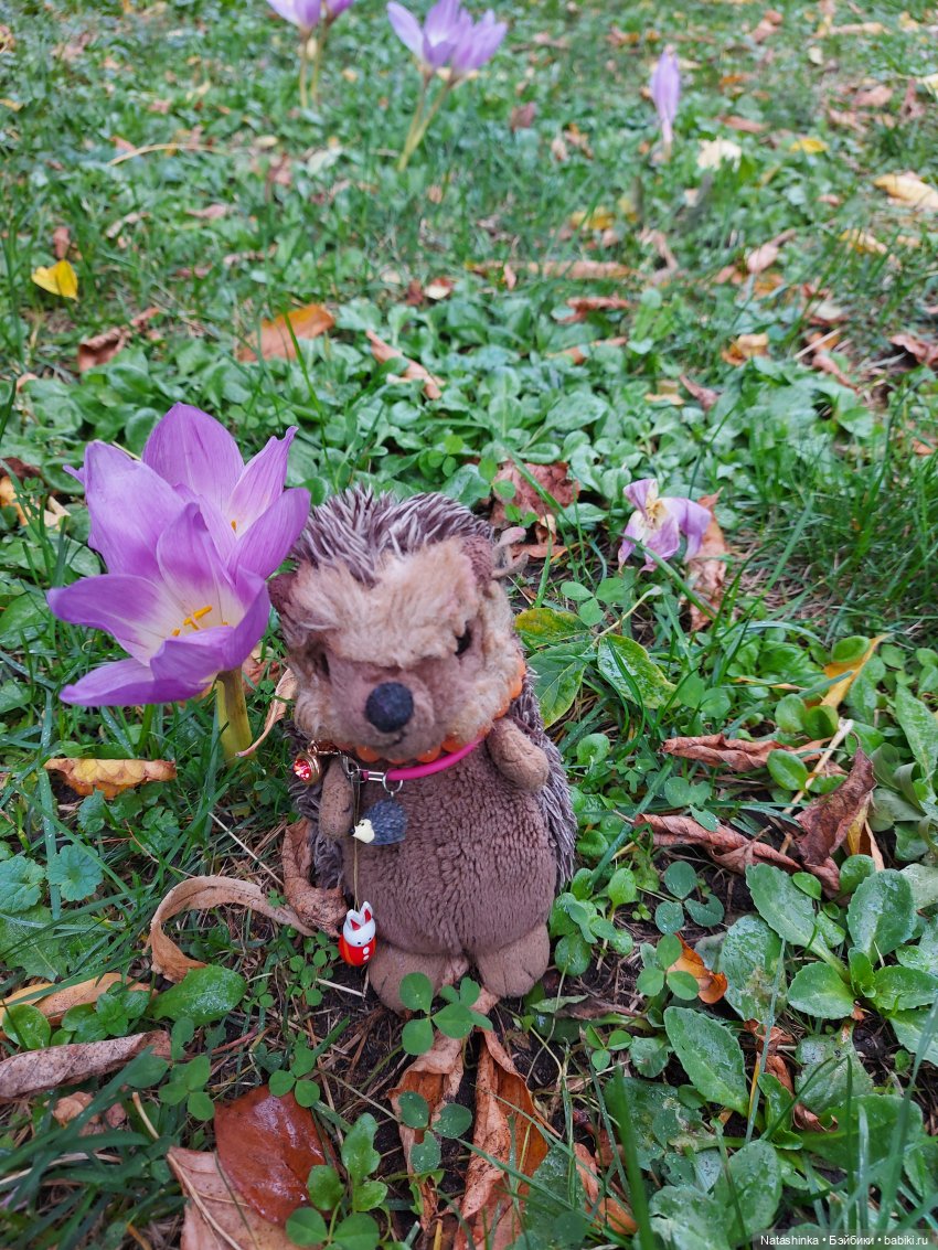 Fashion Dolls 258 — Болталка и разговоры обо всем: жизнь (фото 2)