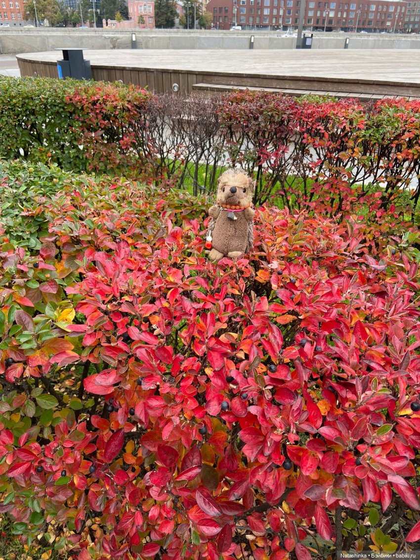 Fashion Dolls 258 — Болталка и разговоры обо всем: жизнь (фото 9)