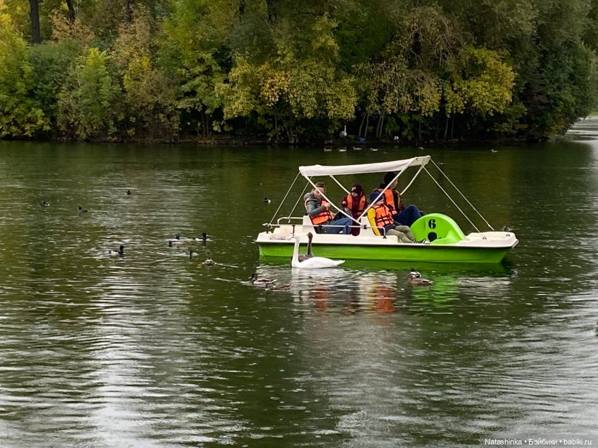 Fashion Dolls 258 — Болталка и разговоры обо всем: жизнь