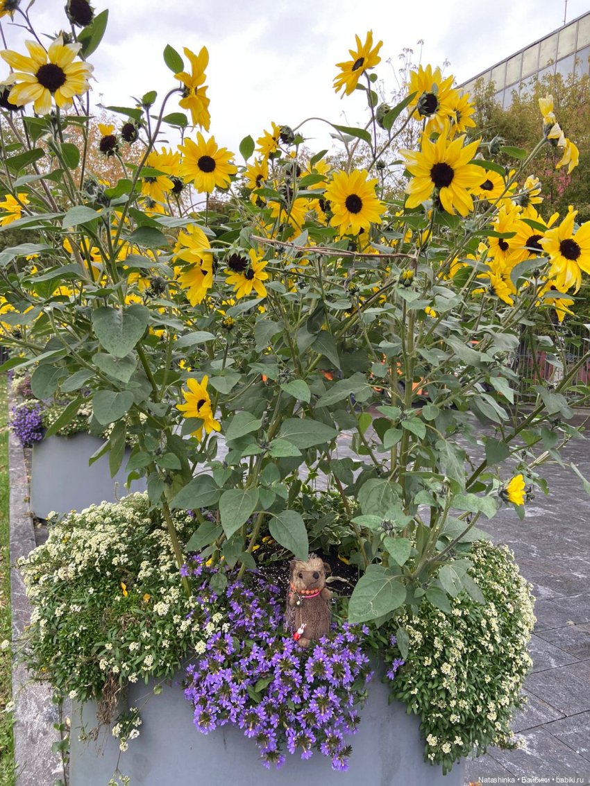 Fashion Dolls 258 — Болталка и разговоры обо всем: жизнь (фото 8)