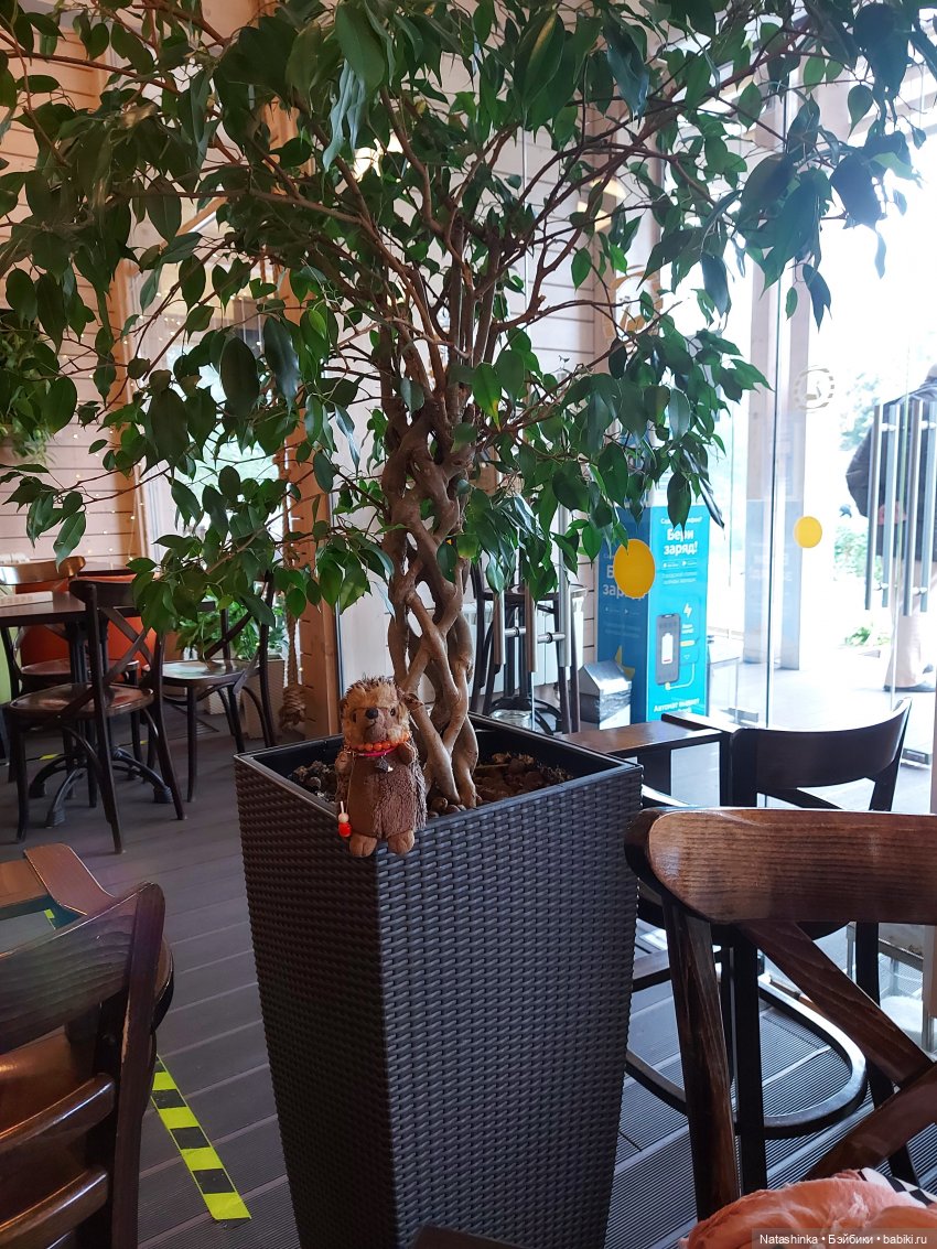 Fashion Dolls 258 — Болталка и разговоры обо всем: жизнь (фото 5)