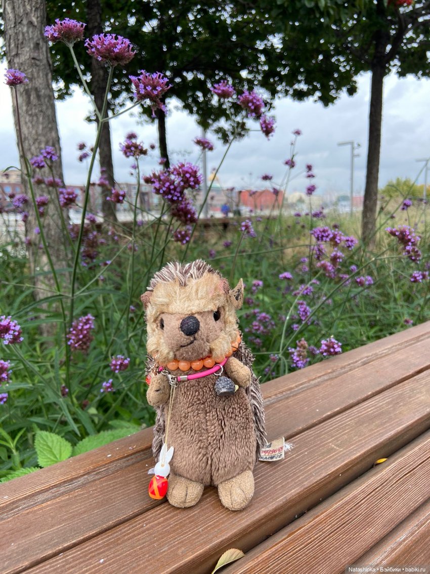 Fashion Dolls 258 — Болталка и разговоры обо всем: жизнь