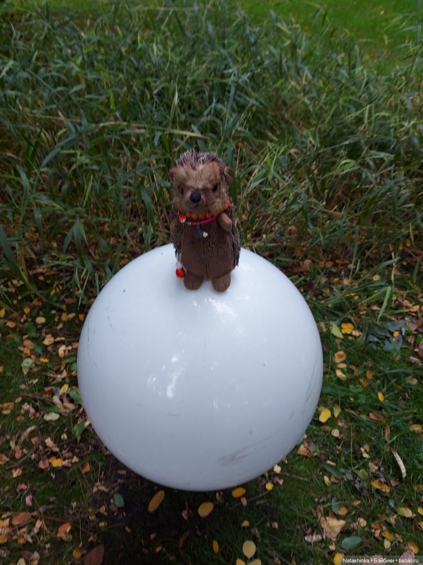 Fashion Dolls 258 — Болталка и разговоры обо всем: жизнь (фото 3)