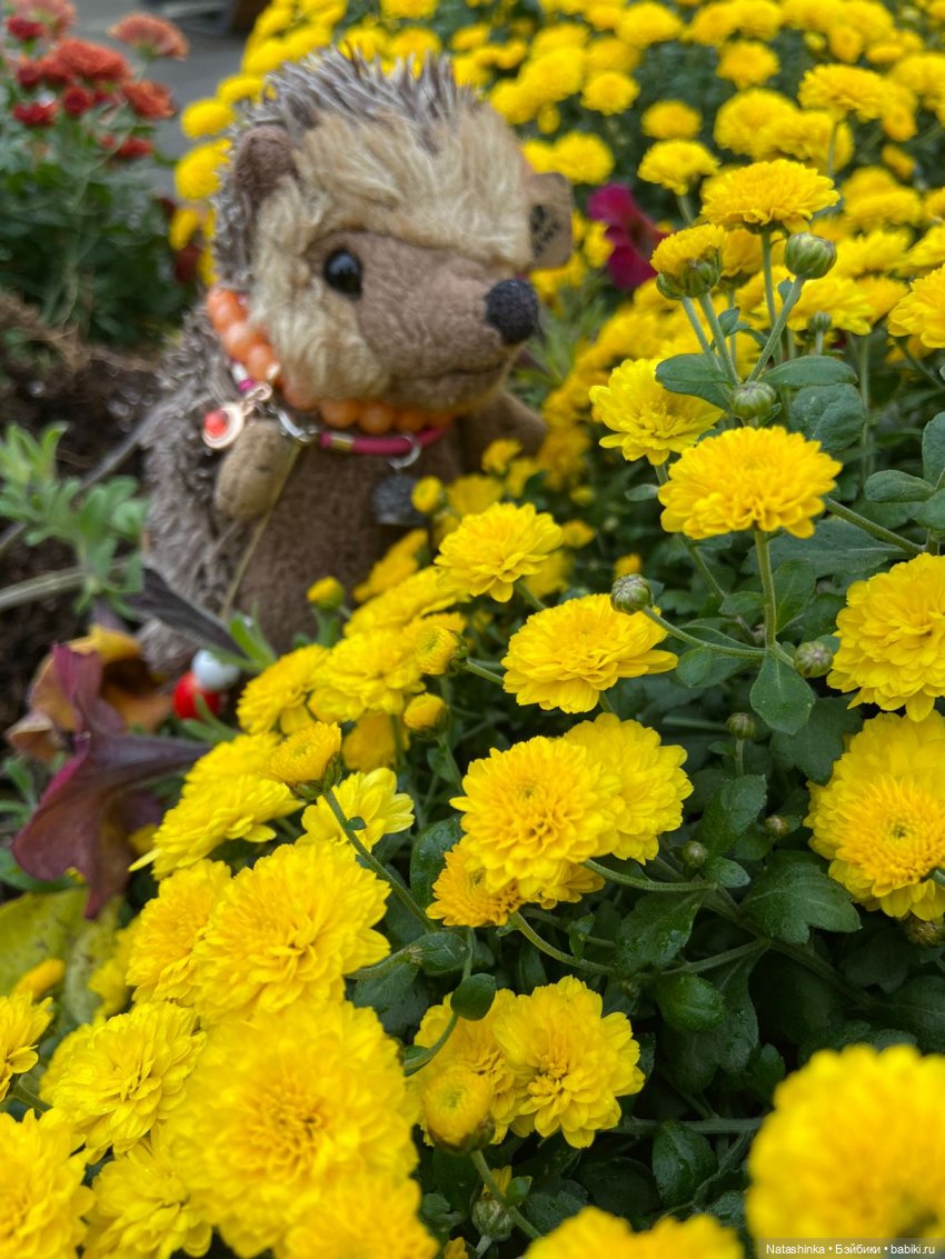 Fashion Dolls 258 — Болталка и разговоры обо всем: жизнь