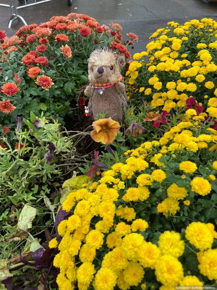 Fashion Dolls 258 — Болталка и разговоры обо всем: жизнь