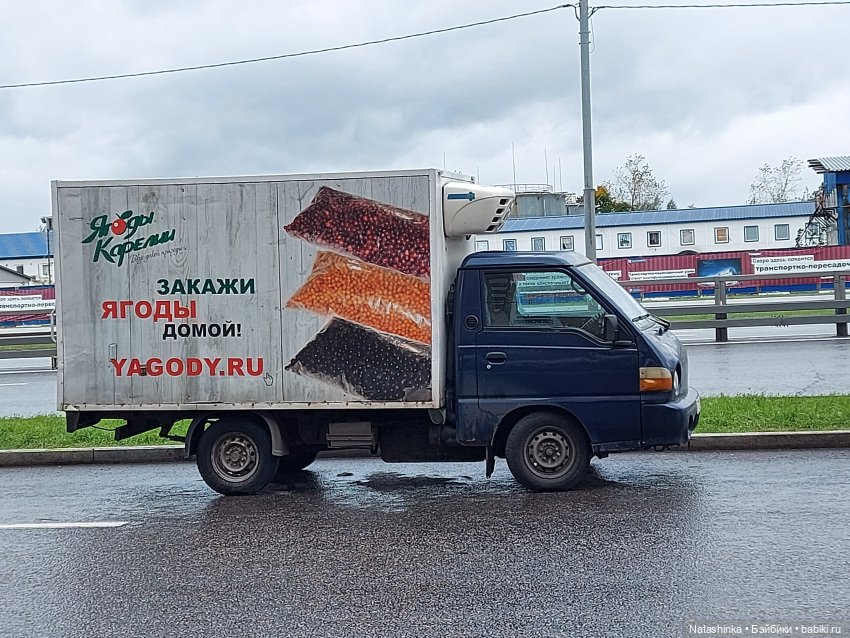 Fashion Dolls 259 — Куклы Звезды подиума (Angel Collection): шарнирные (фото 10)