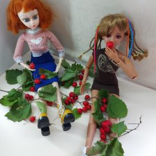 Fashion Dolls 259