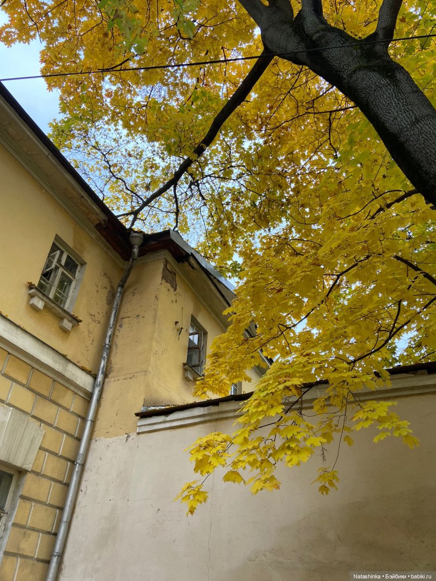 Fashion Dolls 266 — Куклы Звезды подиума (Angel Collection): шарнирные (фото 8)