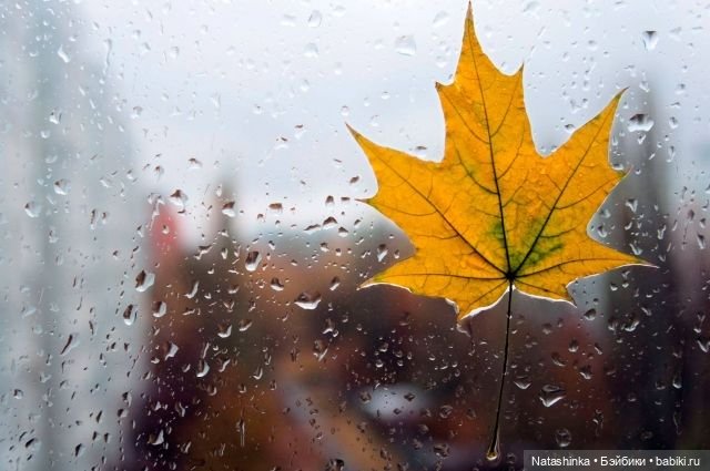 Fashion Dolls 266 — Куклы Звезды подиума (Angel Collection): шарнирные