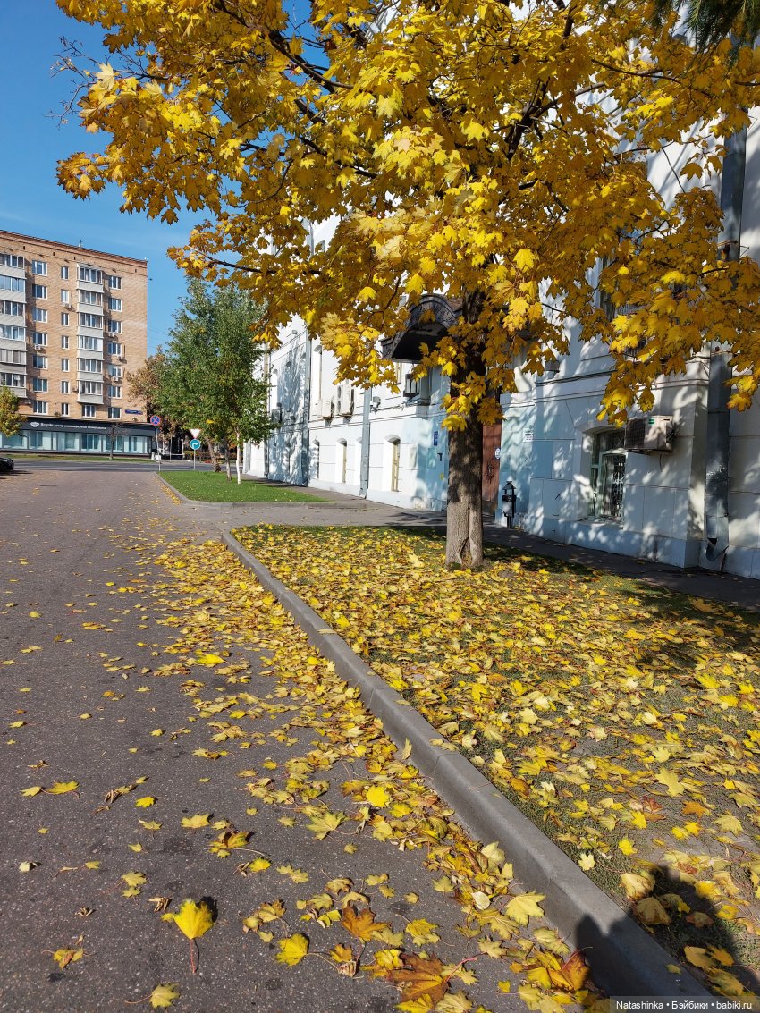 Fashion Dolls 266 — Куклы Звезды подиума (Angel Collection): шарнирные