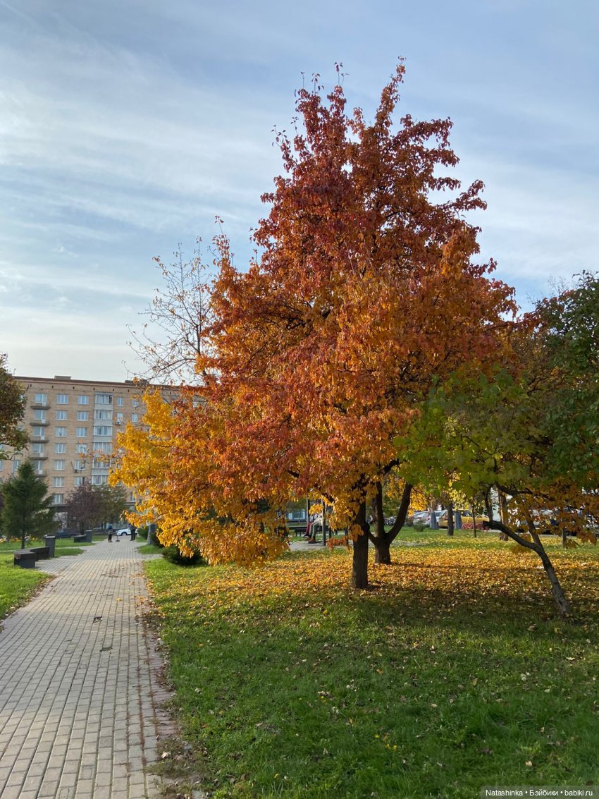 Fashion Dolls 266 — Куклы Звезды подиума (Angel Collection): шарнирные (фото 5)