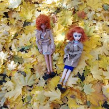 Fashion Dolls 266